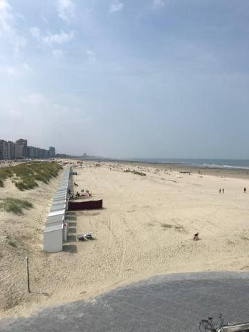 Apollo 1 Lägenhet Nieuwpoort Exteriör bild